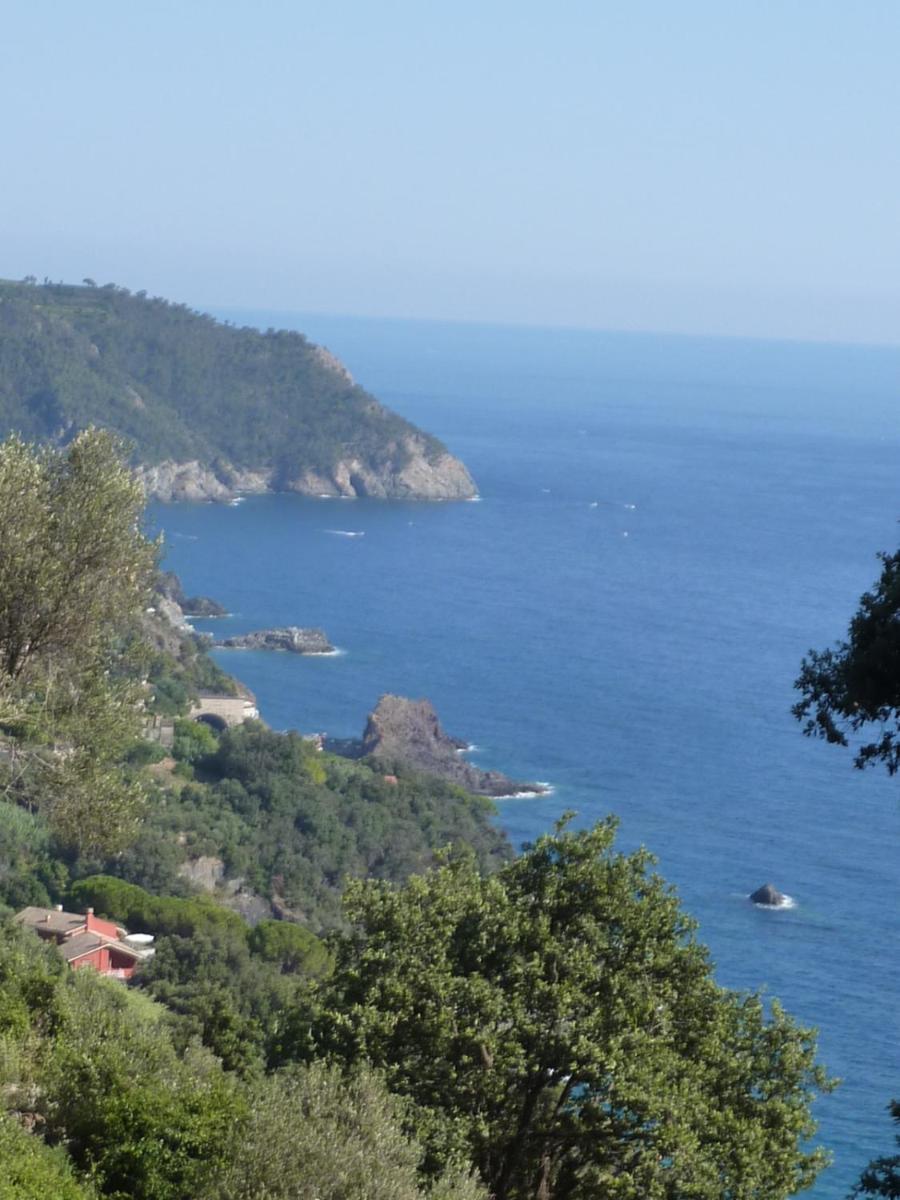 Hotel Silvia Framura - Cinque Terre Exterior photo