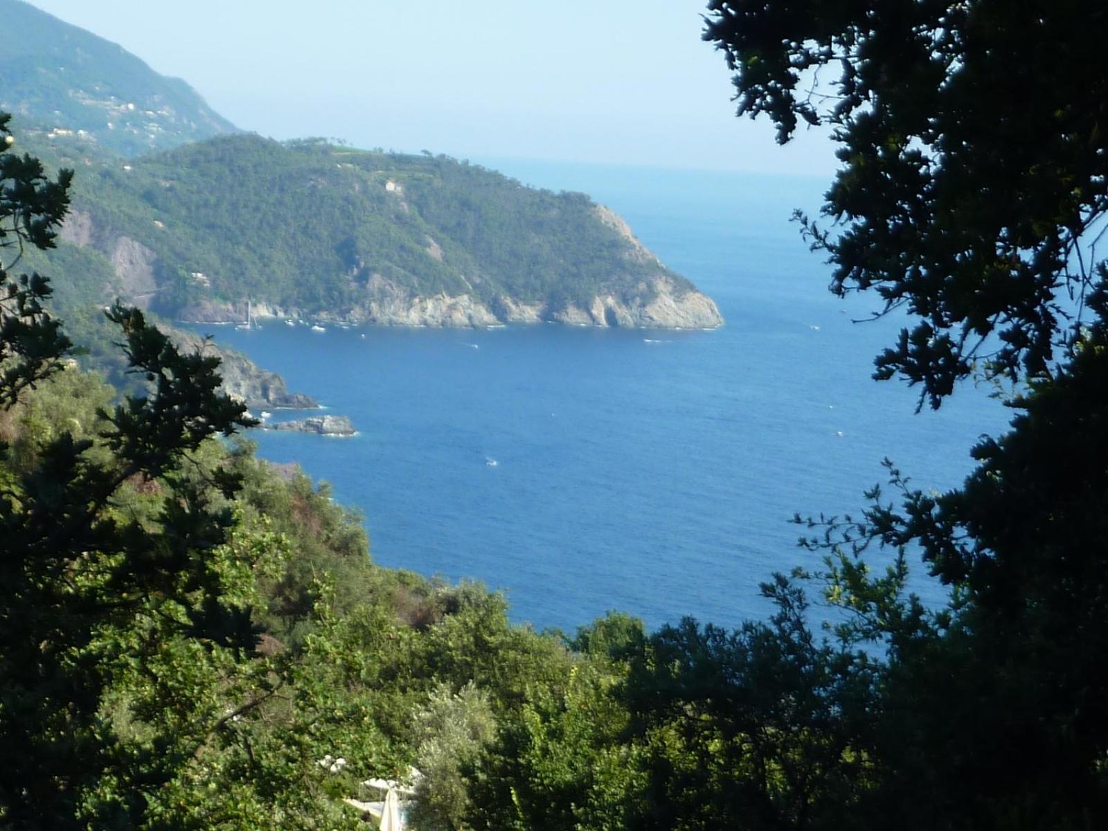 Hotel Silvia Framura - Cinque Terre Exterior photo